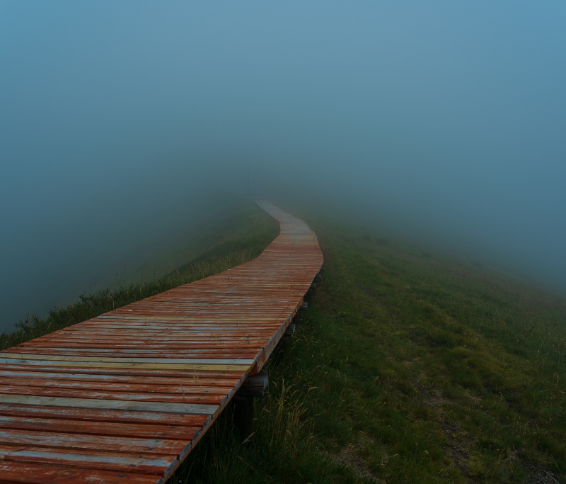 Foggy bridge